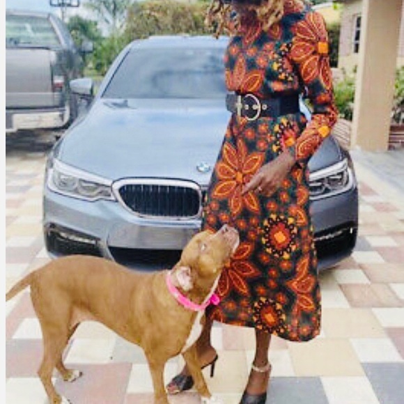 LAST size XL NWT ZARA ROUND NECK PRINTED MIDI DRESS - Picture 8 of 10